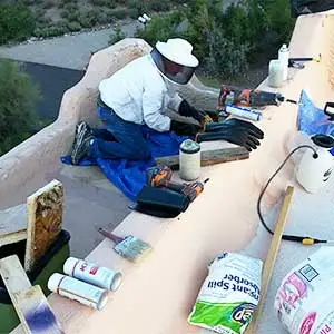 Bee Removal Repair & Sealing Service